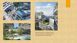 Strategic position of water bodies,
reduces local air temperature and
improves the thermal comfort.
 