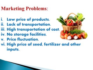 marketing channel of vegetable | PPTX