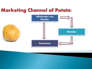 marketing channel of vegetable | PPTX