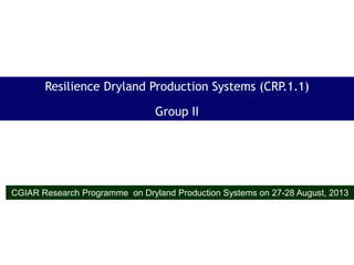 Resilience Dryland Production Systems (CRP.1.1)
Group II
CGIAR Research Programme on Dryland Production Systems on 27-28 August, 2013
 