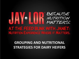 GROUPING AND NUTRITIONAL
STRATEGIES FOR DAIRY HEIFERS
 