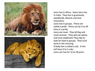 Lions live in Africa. Some lions live
in India. They live in grasslands,
woodlands, deserts and near
mountains.
Lions live in groups. These are
called a pride. There can be 5 to 20
lions in a pride.
Lions eat meat. They kill big and
small animals. They will eat zebras
and even elephants! They like to
look for food in groups. They hunt
early in the morning.
A baby lion is called a cub. A lion
will have 3 to 5 cubs.
Lions can live for 15 to 30 years.
 