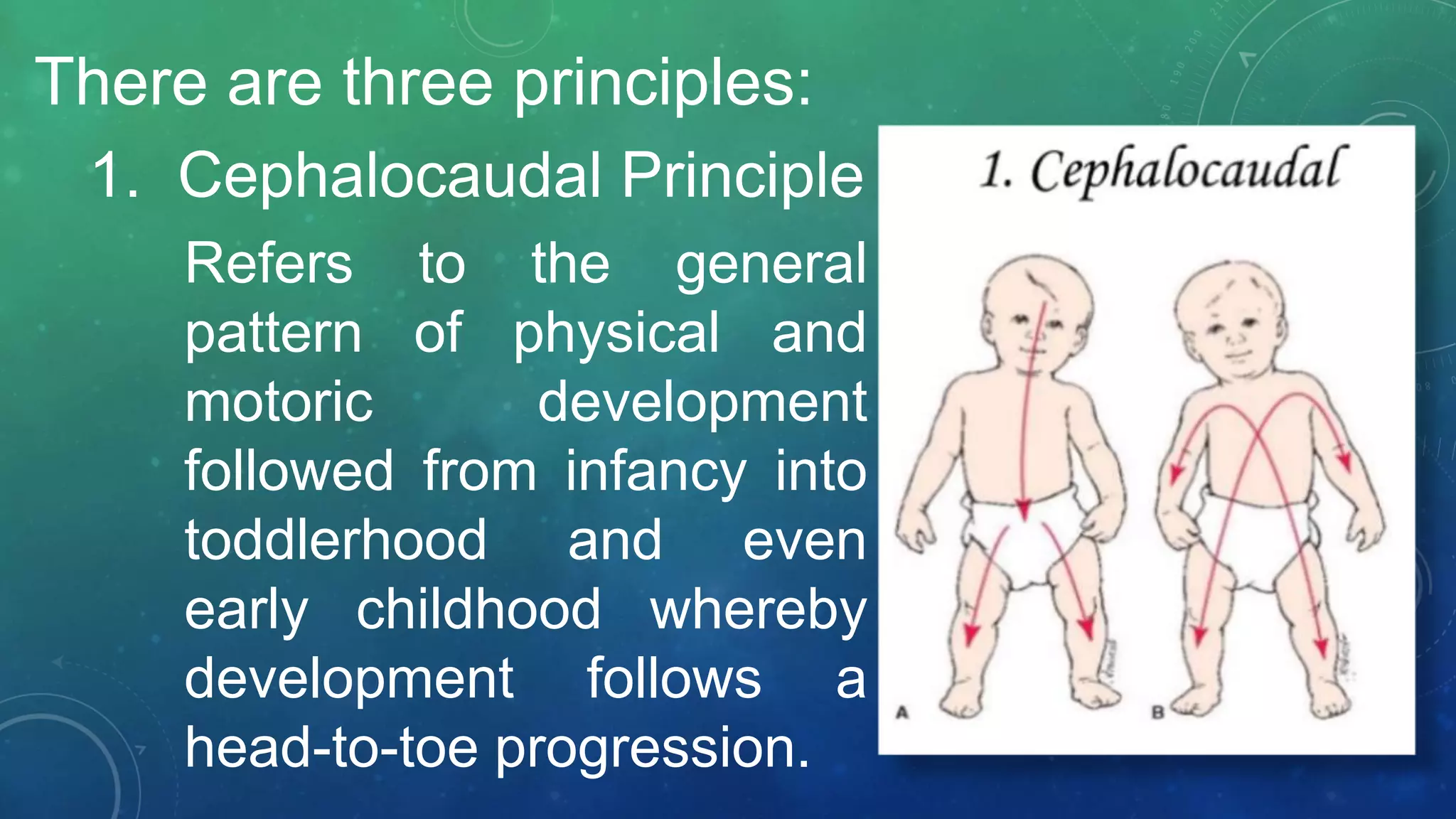 There are three principles:
1. Cephalocaudal Principle
Refers to the general
pattern of physical and
motoric development
followed from infancy into
toddlerhood and even
early childhood whereby
development follows a
head-to-toe progression.
 