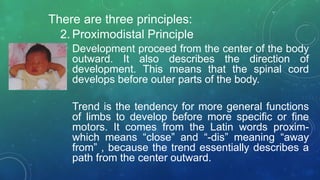 There are three principles:
2. Proximodistal Principle
Development proceed from the center of the body
outward. It also describes the direction of
development. This means that the spinal cord
develops before outer parts of the body.
Trend is the tendency for more general functions
of limbs to develop before more specific or fine
motors. It comes from the Latin words proxim-
which means “close” and “-dis” meaning “away
from” , because the trend essentially describes a
path from the center outward.
 
