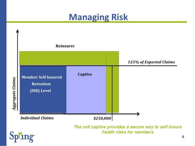 Group medical stop loss captives 2015 Group medical stop loss captives 2015