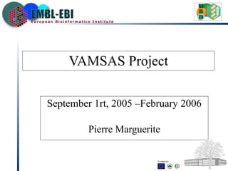 VAMSAS Project September  1rt, 2005 – February  2006 Pierre Marguerite 