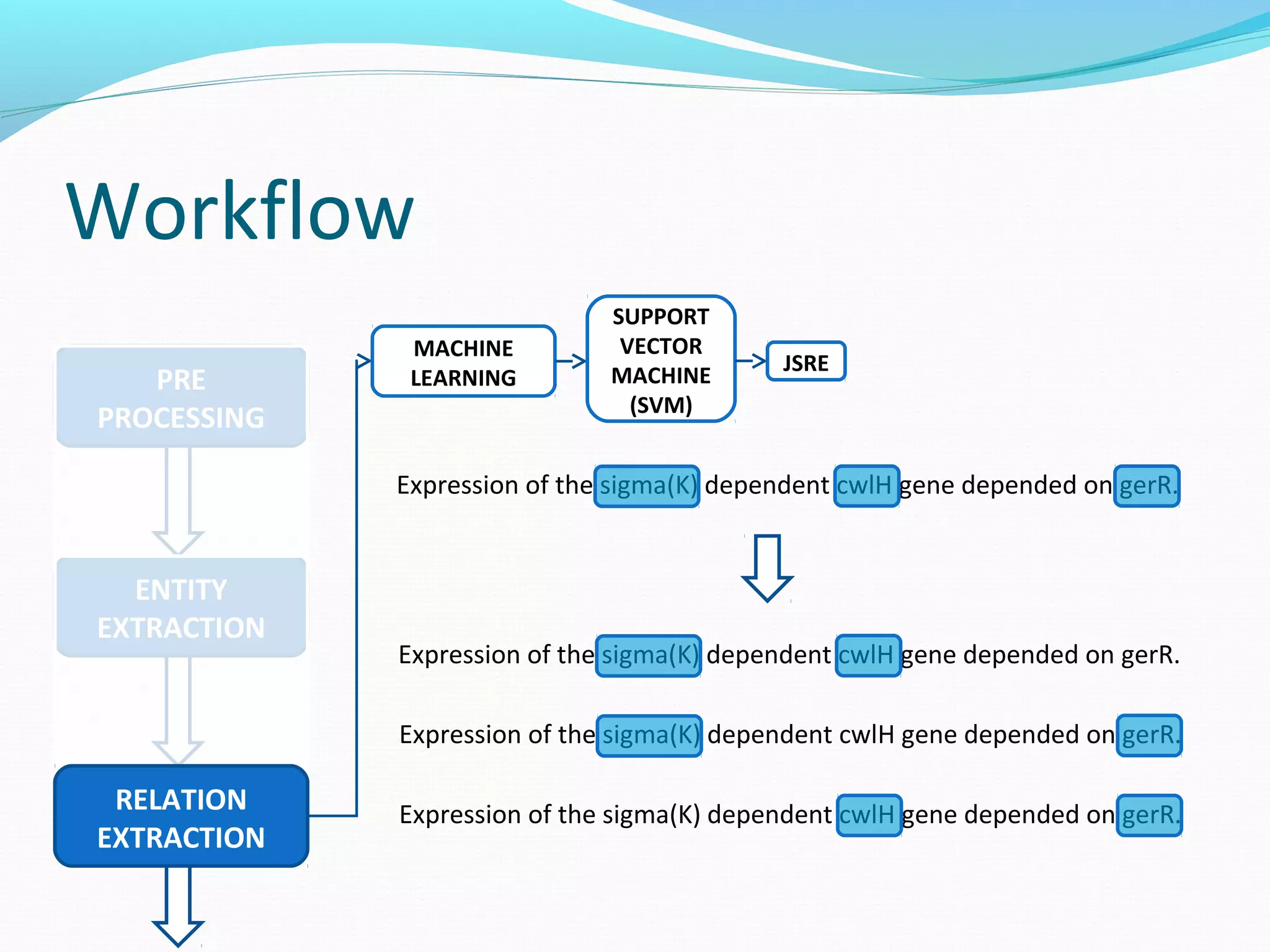 Workflow
ENTITY
EXTRACTION
PRE
PROCESSING
RELATION
EXTRACTION
MACHINE
LEARNING
SUPPORT
VECTOR
MACHINE
(SVM)
JSRE
Expression of the sigma(K) dependent cwlH gene depended on gerR.
Expression of the sigma(K) dependent cwlH gene depended on gerR.
Expression of the sigma(K) dependent cwlH gene depended on gerR.
Expression of the sigma(K) dependent cwlH gene depended on gerR.
 