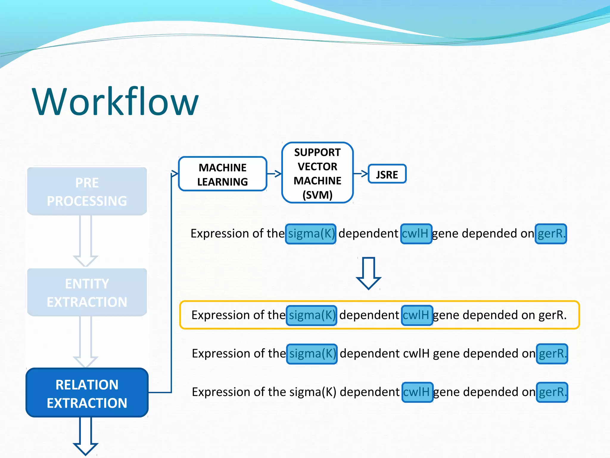 Workflow
ENTITY
EXTRACTION
PRE
PROCESSING
RELATION
EXTRACTION
MACHINE
LEARNING
SUPPORT
VECTOR
MACHINE
(SVM)
JSRE
Expression of the sigma(K) dependent cwlH gene depended on gerR.
Expression of the sigma(K) dependent cwlH gene depended on gerR.
Expression of the sigma(K) dependent cwlH gene depended on gerR.
Expression of the sigma(K) dependent cwlH gene depended on gerR.
 