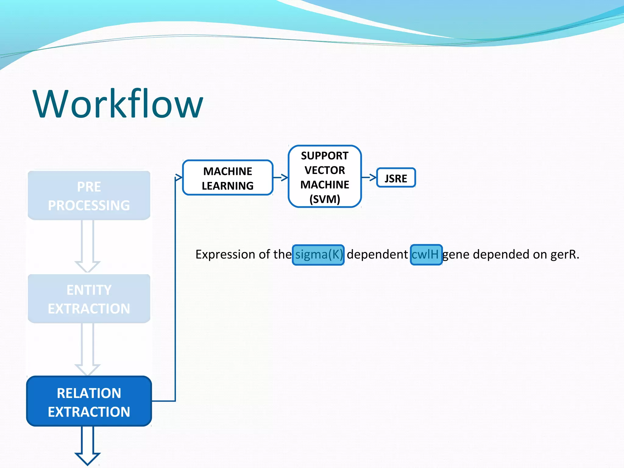 Workflow
ENTITY
EXTRACTION
PRE
PROCESSING
RELATION
EXTRACTION
MACHINE
LEARNING
SUPPORT
VECTOR
MACHINE
(SVM)
JSRE
Expression of the sigma(K) dependent cwlH gene depended on gerR.
 
