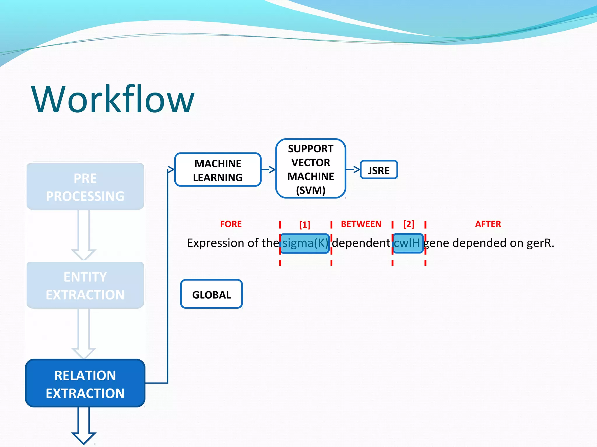 Workflow
ENTITY
EXTRACTION
PRE
PROCESSING
RELATION
EXTRACTION
MACHINE
LEARNING
SUPPORT
VECTOR
MACHINE
(SVM)
JSRE
Expression of the sigma(K) dependent cwlH gene depended on gerR.
BETWEEN AFTERFORE [1] [2]
GLOBAL
 