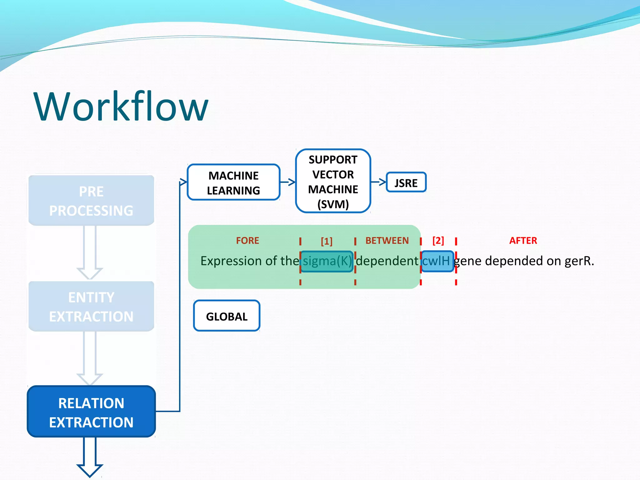 Workflow
ENTITY
EXTRACTION
PRE
PROCESSING
RELATION
EXTRACTION
MACHINE
LEARNING
SUPPORT
VECTOR
MACHINE
(SVM)
JSRE
Expression of the sigma(K) dependent cwlH gene depended on gerR.
BETWEEN AFTERFORE [1] [2]
GLOBAL
 