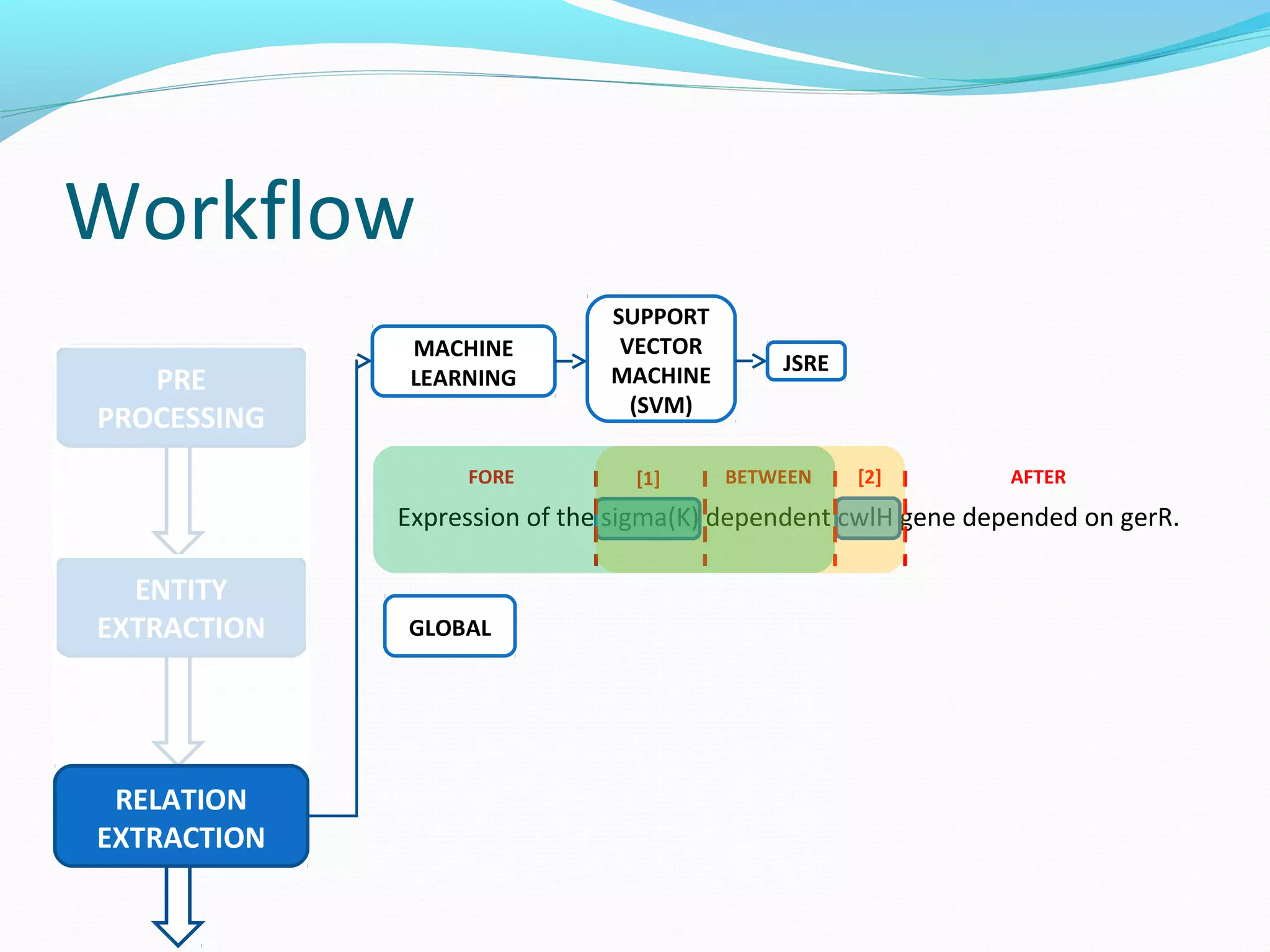 Workflow
ENTITY
EXTRACTION
PRE
PROCESSING
RELATION
EXTRACTION
MACHINE
LEARNING
SUPPORT
VECTOR
MACHINE
(SVM)
JSRE
Expression of the sigma(K) dependent cwlH gene depended on gerR.
BETWEEN AFTERFORE [1] [2]
GLOBAL
 