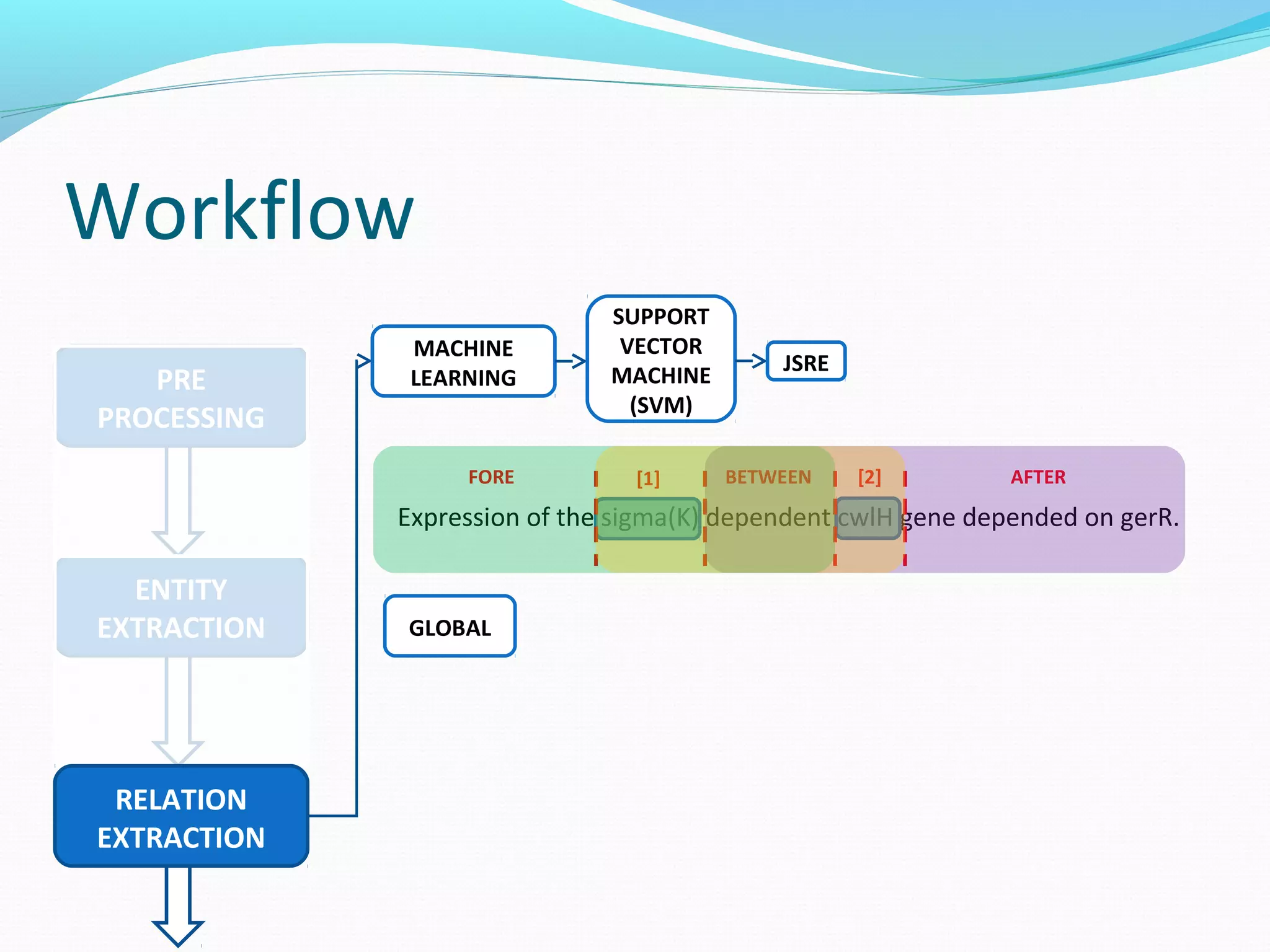 Workflow
ENTITY
EXTRACTION
PRE
PROCESSING
RELATION
EXTRACTION
MACHINE
LEARNING
SUPPORT
VECTOR
MACHINE
(SVM)
JSRE
Expression of the sigma(K) dependent cwlH gene depended on gerR.
BETWEEN AFTERFORE [1] [2]
GLOBAL
 