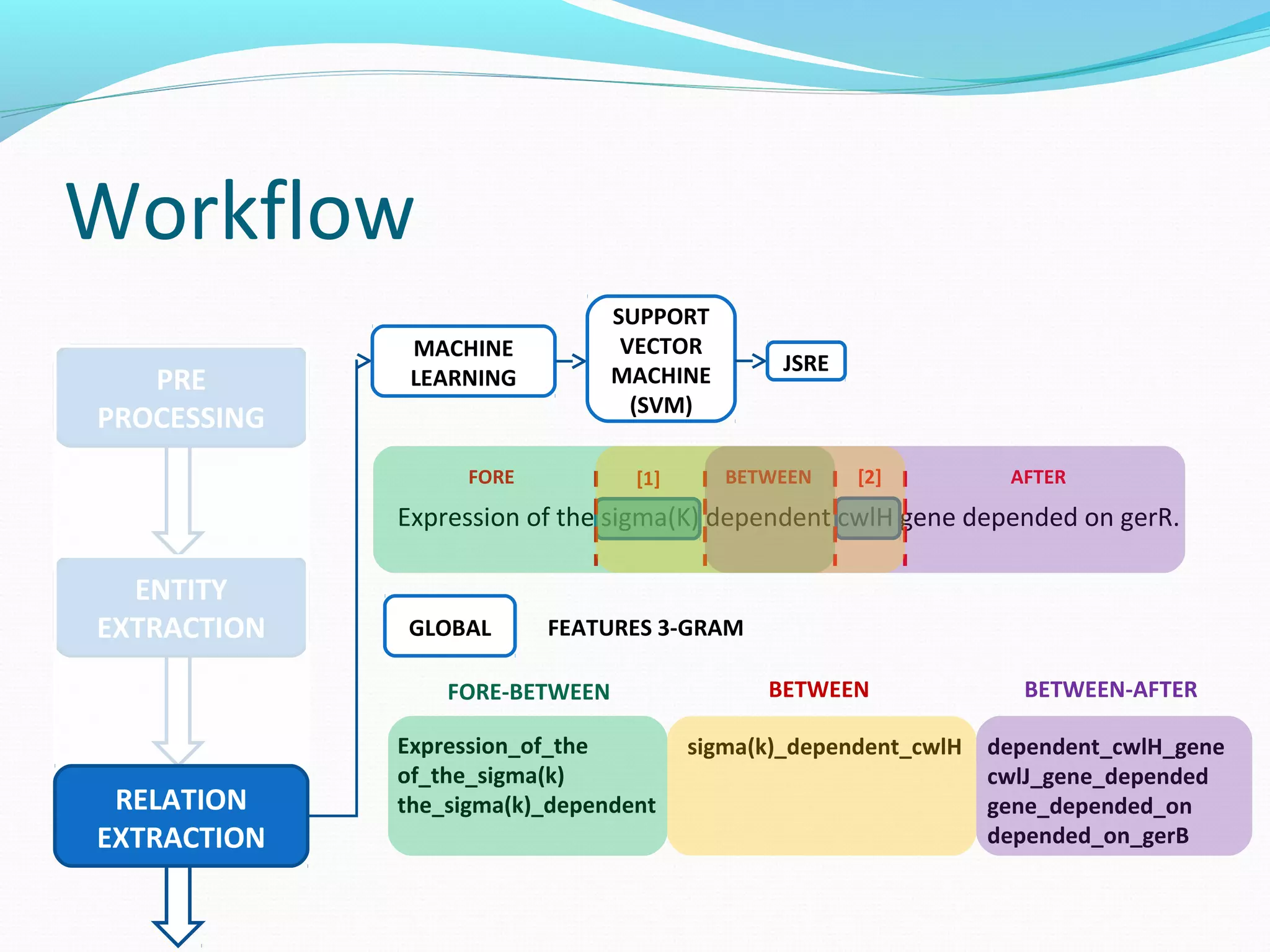 Workflow
ENTITY
EXTRACTION
PRE
PROCESSING
RELATION
EXTRACTION
MACHINE
LEARNING
SUPPORT
VECTOR
MACHINE
(SVM)
JSRE
Expression of the sigma(K) dependent cwlH gene depended on gerR.
GLOBAL
BETWEEN AFTERFORE [1] [2]
FEATURES 3-GRAM
Expression_of_the
of_the_sigma(k)
the_sigma(k)_dependent
sigma(k)_dependent_cwlH dependent_cwlH_gene
cwlJ_gene_depended
gene_depended_on
depended_on_gerB
FORE-BETWEEN BETWEEN BETWEEN-AFTER
 
