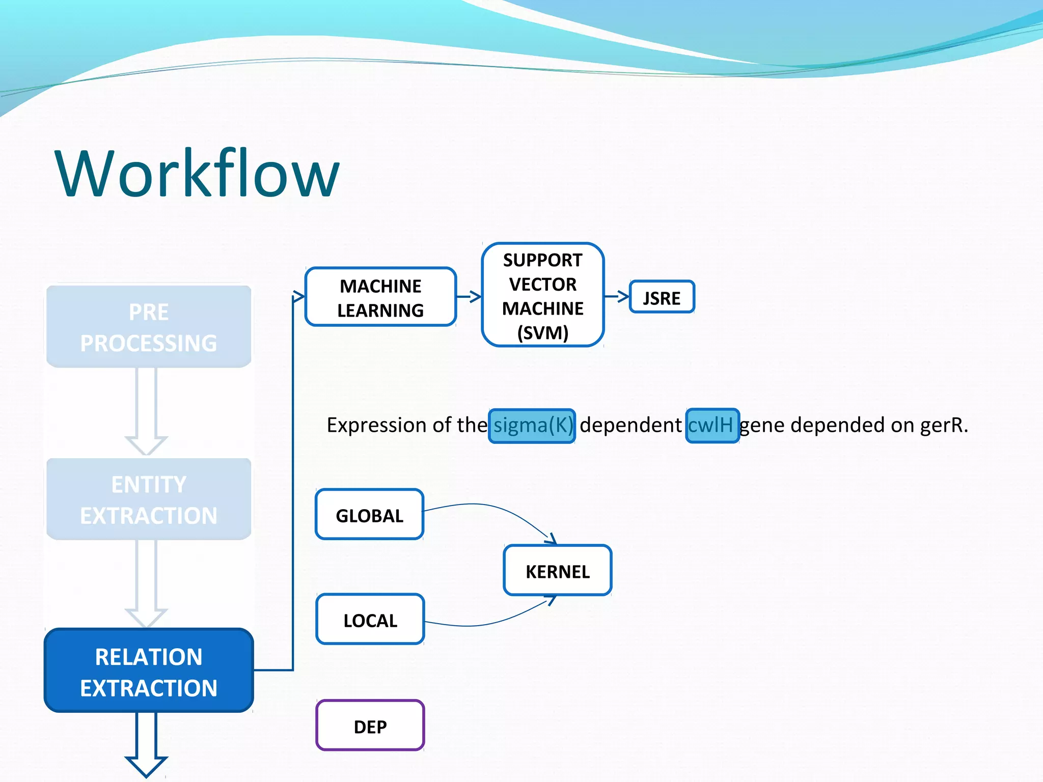 Workflow
ENTITY
EXTRACTION
PRE
PROCESSING
RELATION
EXTRACTION
MACHINE
LEARNING
SUPPORT
VECTOR
MACHINE
(SVM)
JSRE
Expression of the sigma(K) dependent cwlH gene depended on gerR.
GLOBAL
LOCAL
KERNEL
DEP
 