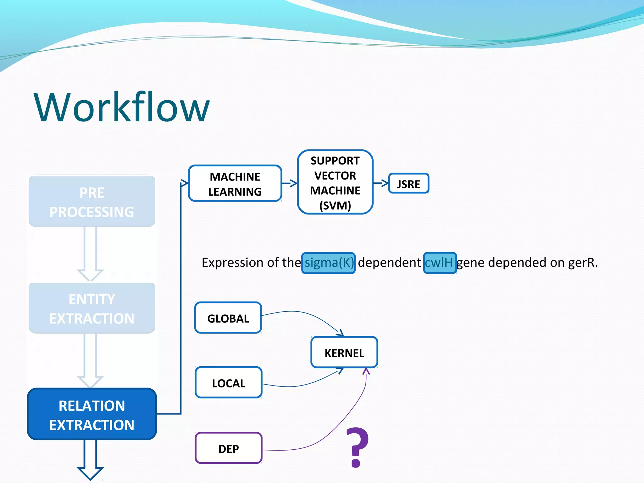 Workflow
ENTITY
EXTRACTION
PRE
PROCESSING
RELATION
EXTRACTION
MACHINE
LEARNING
SUPPORT
VECTOR
MACHINE
(SVM)
JSRE
Expression of the sigma(K) dependent cwlH gene depended on gerR.
GLOBAL
LOCAL
KERNEL
DEP
?
 