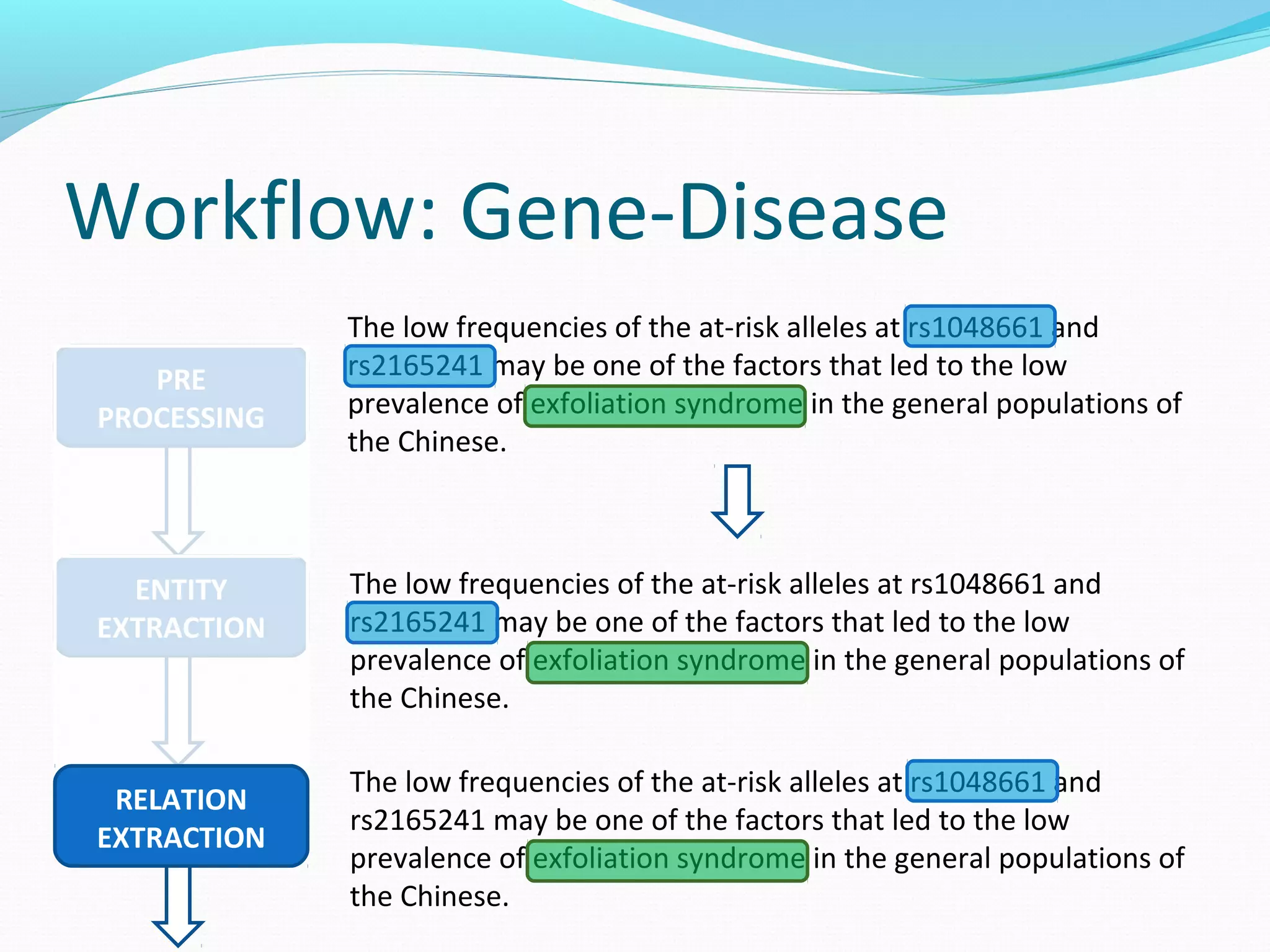 Workflow: Gene-Disease
PRE
PROCESSING
The low frequencies of the at-risk alleles at rs1048661 and
rs2165241 may be one of the factors that led to the low
prevalence of exfoliation syndrome in the general populations of
the Chinese.
ENTITY
EXTRACTION
RELATION
EXTRACTION
The low frequencies of the at-risk alleles at rs1048661 and
rs2165241 may be one of the factors that led to the low
prevalence of exfoliation syndrome in the general populations of
the Chinese.
The low frequencies of the at-risk alleles at rs1048661 and
rs2165241 may be one of the factors that led to the low
prevalence of exfoliation syndrome in the general populations of
the Chinese.
 