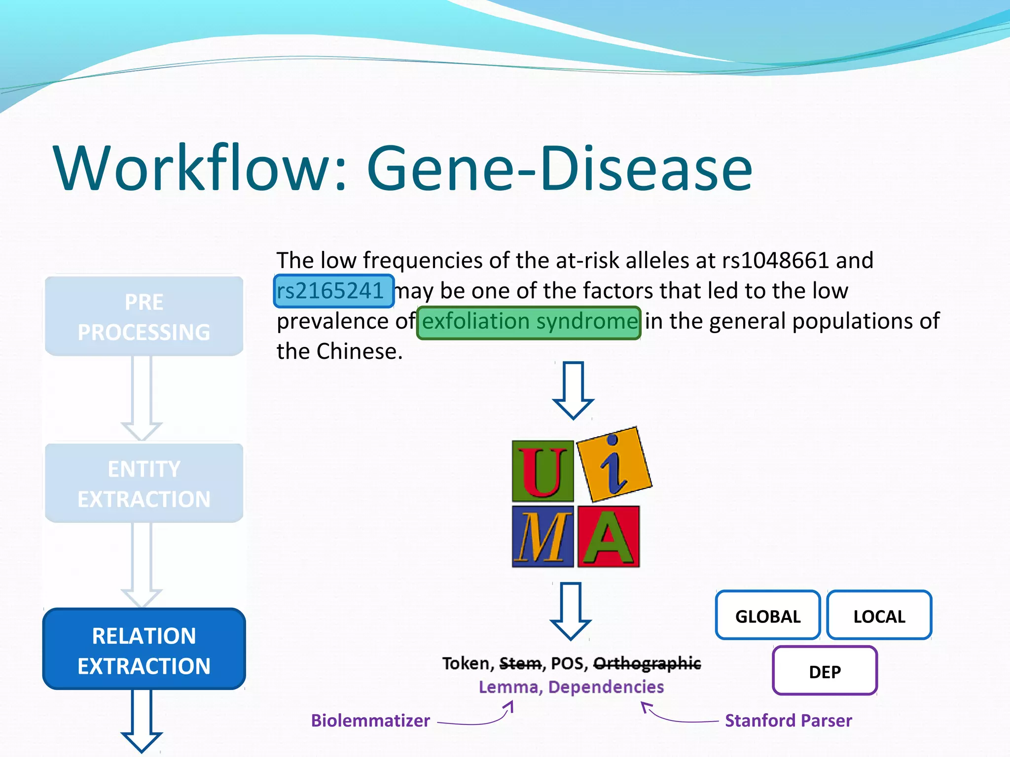 Workflow: Gene-Disease
PRE
PROCESSING
The low frequencies of the at-risk alleles at rs1048661 and
rs2165241 may be one of the factors that led to the low
prevalence of exfoliation syndrome in the general populations of
the Chinese.
ENTITY
EXTRACTION
RELATION
EXTRACTION
Biolemmatizer Stanford Parser
GLOBAL LOCAL
DEP
 
