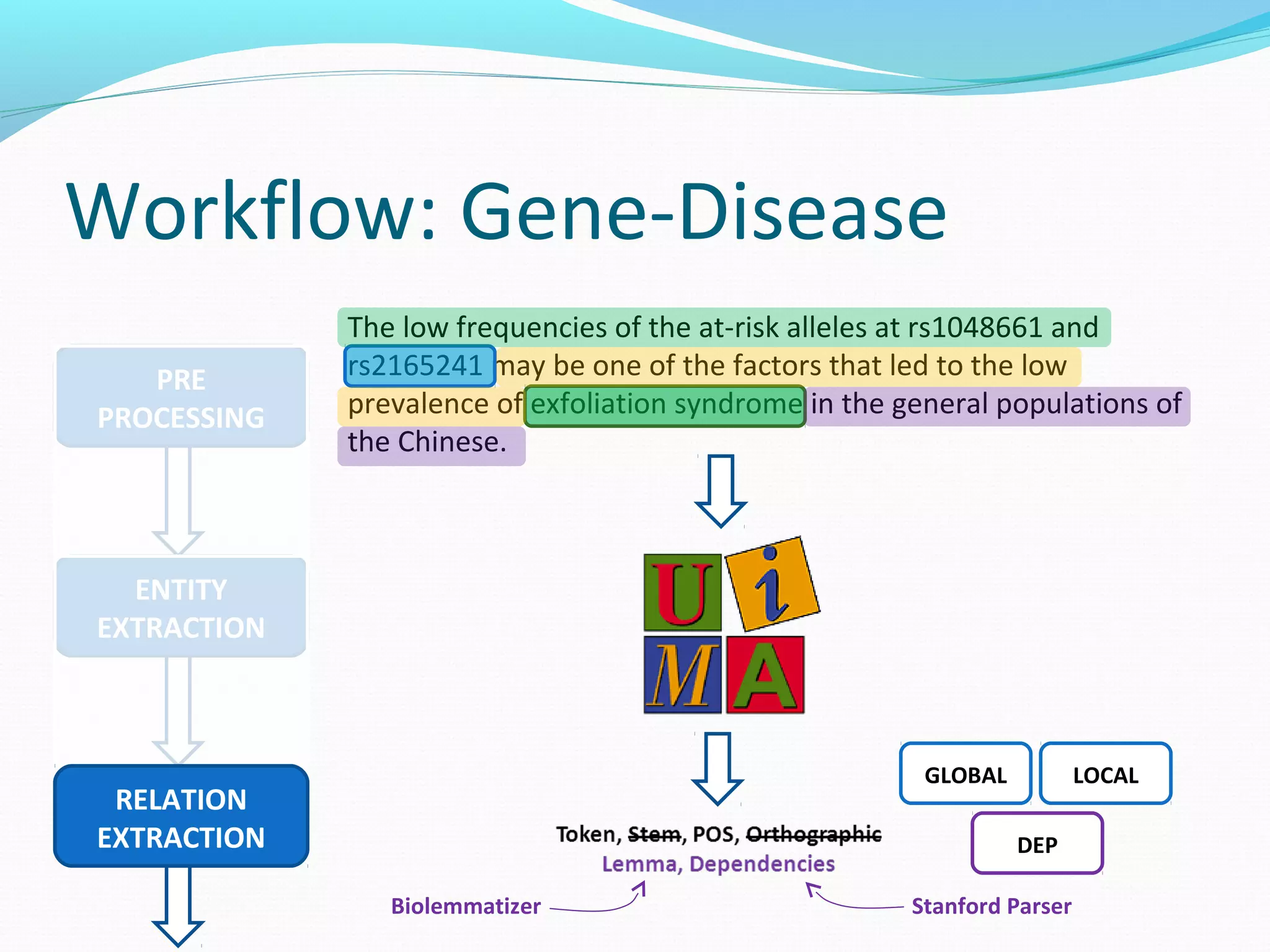Workflow: Gene-Disease
PRE
PROCESSING
The low frequencies of the at-risk alleles at rs1048661 and
rs2165241 may be one of the factors that led to the low
prevalence of exfoliation syndrome in the general populations of
the Chinese.
ENTITY
EXTRACTION
RELATION
EXTRACTION
Biolemmatizer Stanford Parser
GLOBAL LOCAL
DEP
 