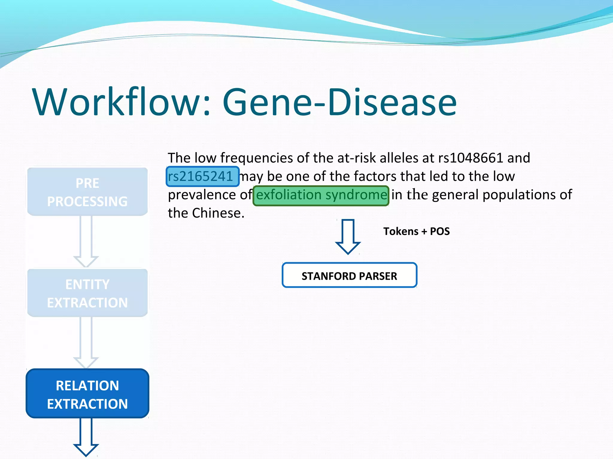 Workflow: Gene-Disease
PRE
PROCESSING
The low frequencies of the at-risk alleles at rs1048661 and
rs2165241 may be one of the factors that led to the low
prevalence of exfoliation syndrome in the general populations of
the Chinese.
ENTITY
EXTRACTION
RELATION
EXTRACTION
Tokens + POS
STANFORD PARSER
 