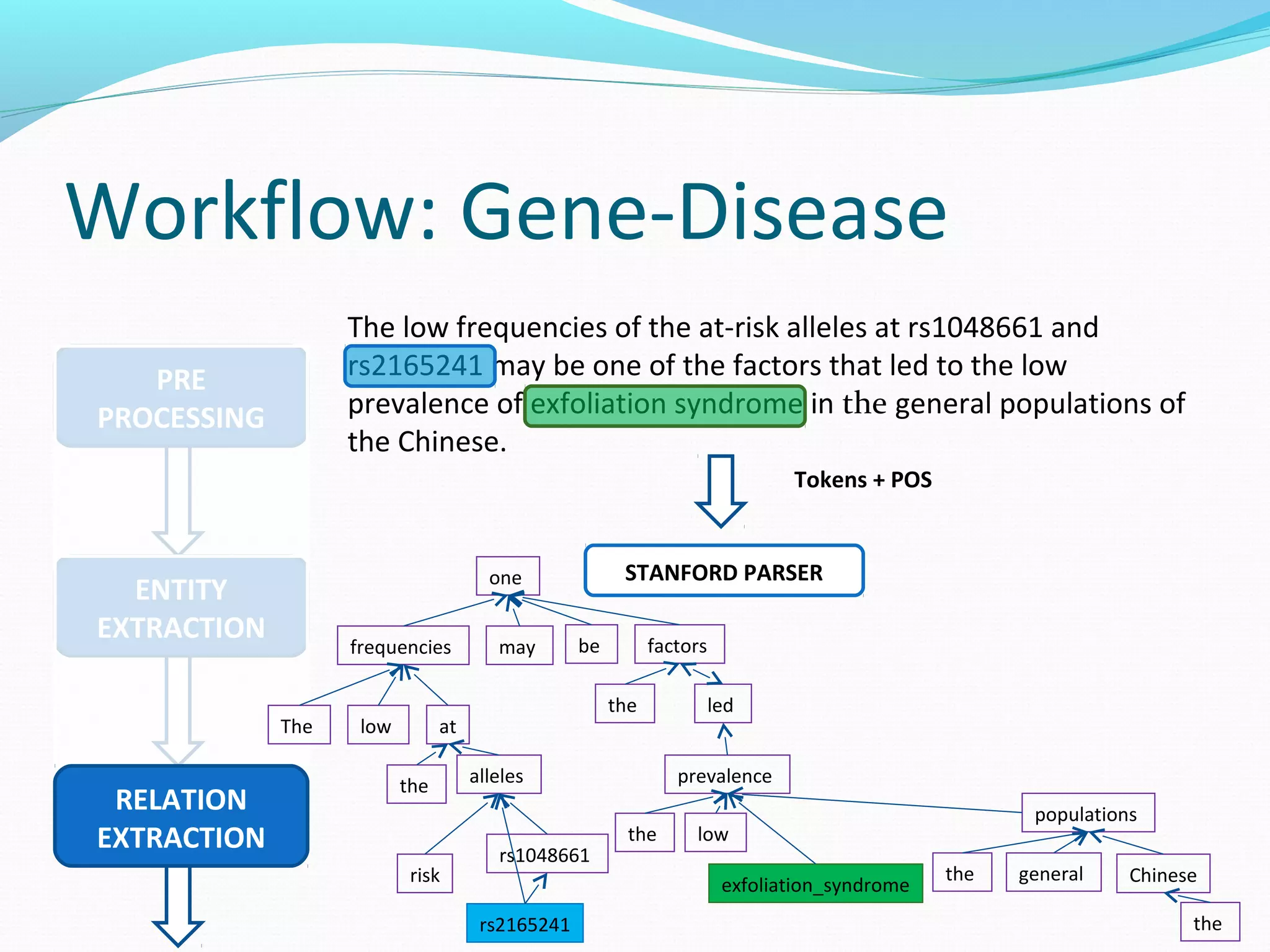 Workflow: Gene-Disease
PRE
PROCESSING
The low frequencies of the at-risk alleles at rs1048661 and
rs2165241 may be one of the factors that led to the low
prevalence of exfoliation syndrome in the general populations of
the Chinese.
ENTITY
EXTRACTION
RELATION
EXTRACTION
Tokens + POS
STANFORD PARSER
The low
frequencies
the
risk
alleles
rs1048661
rs2165241
may be
one
the
factors
led
the low
prevalence
exfoliation_syndrome
the general
populations
the
Chinese
at
 