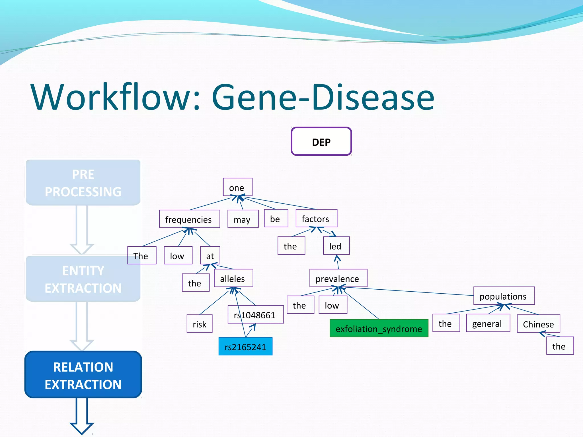 Workflow: Gene-Disease
PRE
PROCESSING
ENTITY
EXTRACTION
RELATION
EXTRACTION
DEP
The low
frequencies
the
risk
alleles
rs1048661
rs2165241
may be
one
the
factors
led
the low
prevalence
exfoliation_syndrome
the general
populations
the
Chinese
at
 
