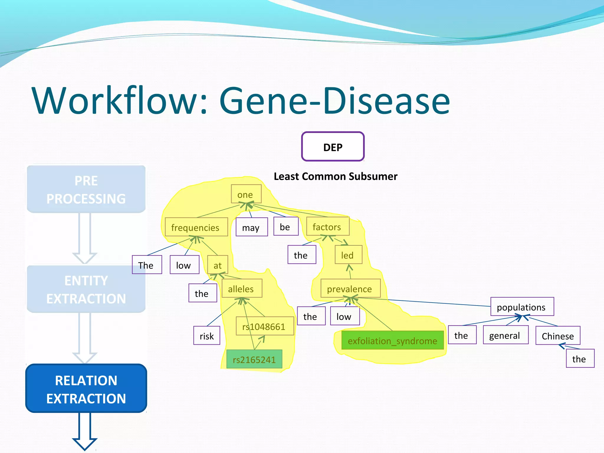 Workflow: Gene-Disease
PRE
PROCESSING
ENTITY
EXTRACTION
RELATION
EXTRACTION
DEP
The low
frequencies
the
risk
alleles
rs1048661
rs2165241
may be
one
the
factors
led
the low
prevalence
exfoliation_syndrome
the general
populations
the
Chinese
at
Least Common Subsumer
 