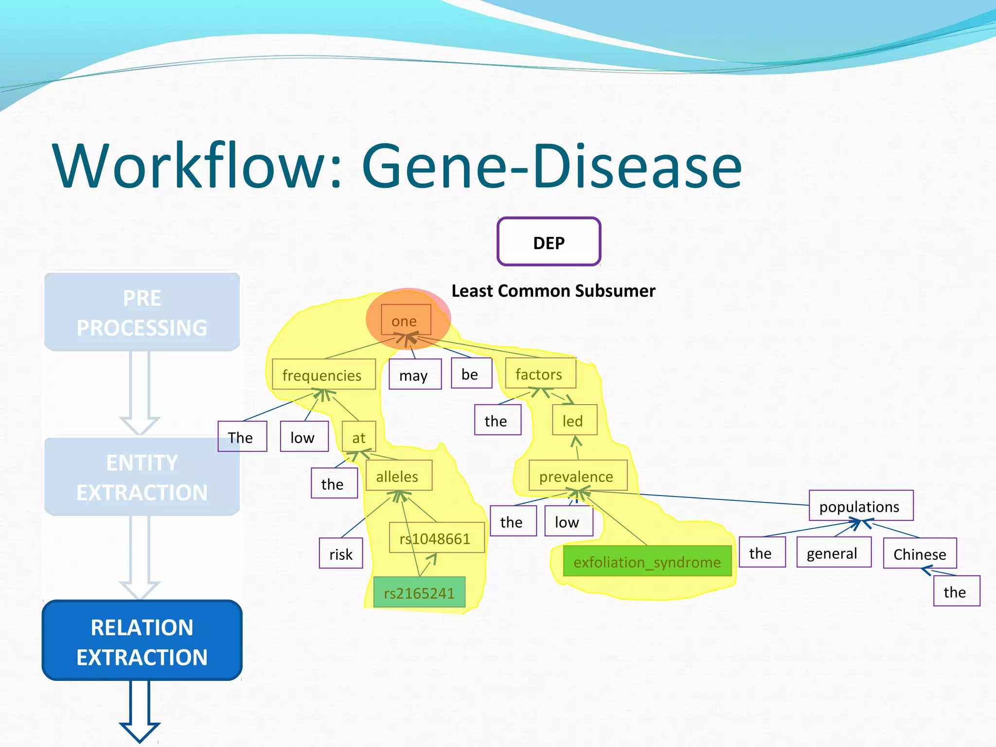 Workflow: Gene-Disease
PRE
PROCESSING
ENTITY
EXTRACTION
RELATION
EXTRACTION
DEP
The low
frequencies
the
risk
alleles
rs1048661
rs2165241
may be
one
the
factors
led
the low
prevalence
exfoliation_syndrome
the general
populations
the
Chinese
at
Least Common Subsumer
 