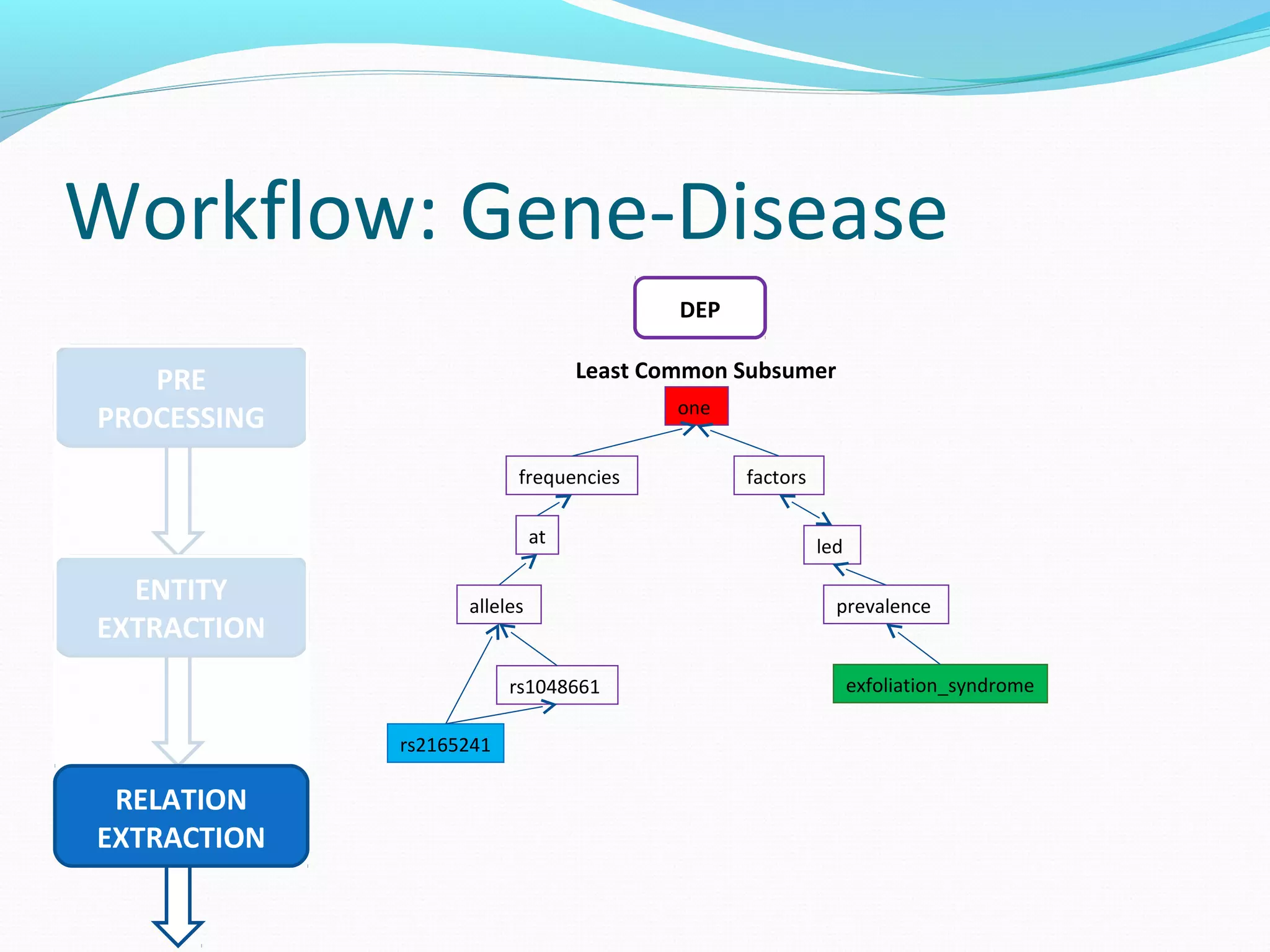 Workflow: Gene-Disease
PRE
PROCESSING
ENTITY
EXTRACTION
RELATION
EXTRACTION
DEP
frequencies
alleles
rs1048661
rs2165241
one
factors
led
prevalence
exfoliation_syndrome
at
Least Common Subsumer
 