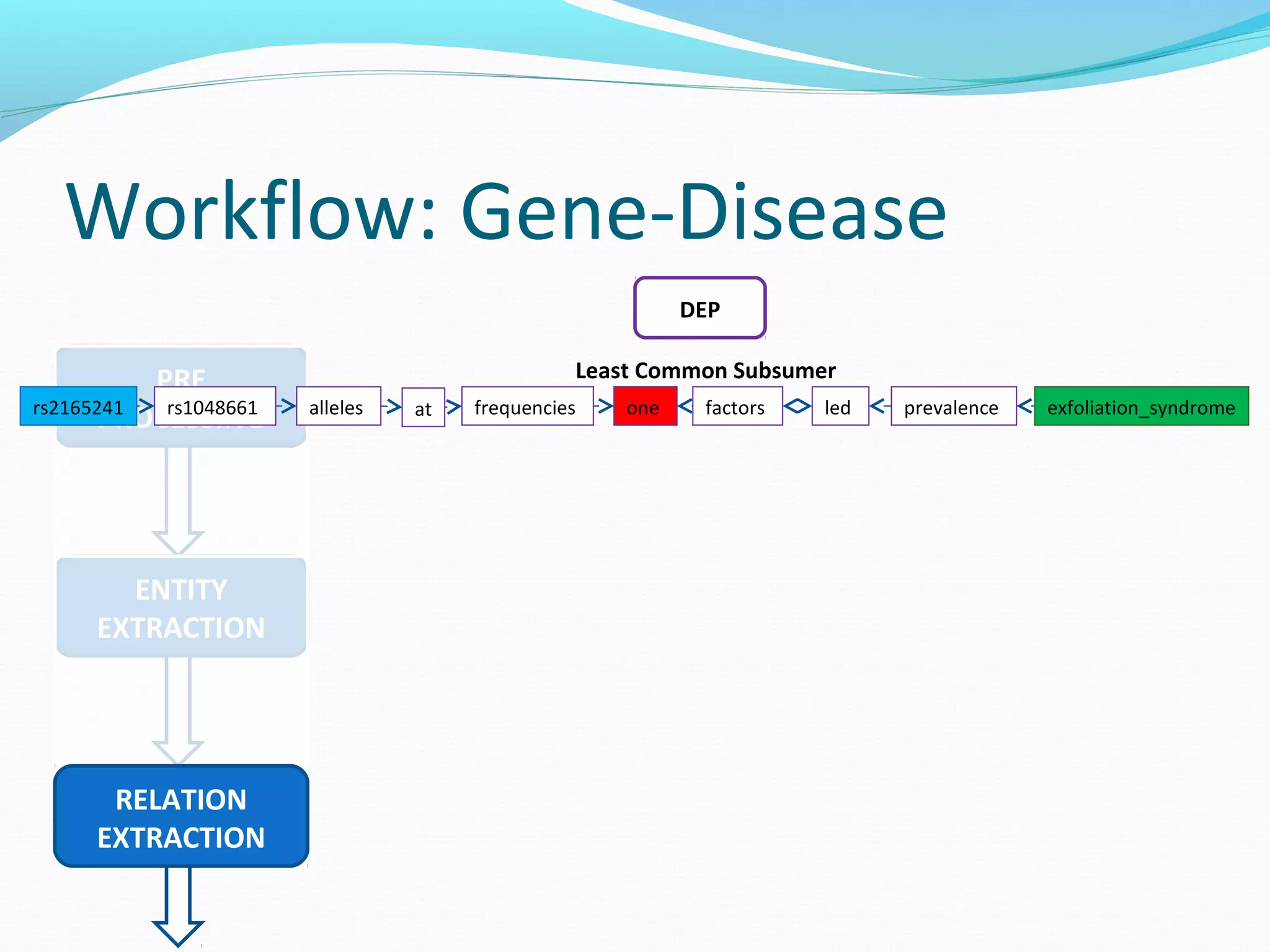 Workflow: Gene-Disease
PRE
PROCESSING
ENTITY
EXTRACTION
RELATION
EXTRACTION
DEP
frequenciesallelesrs1048661rs2165241 one factors led prevalence exfoliation_syndromeat
Least Common Subsumer
 