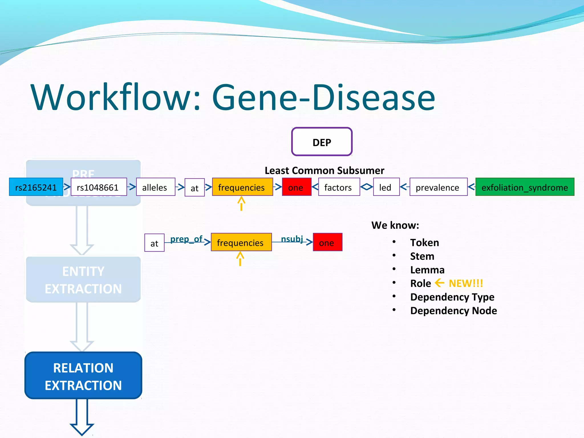 Workflow: Gene-Disease
PRE
PROCESSING
ENTITY
EXTRACTION
RELATION
EXTRACTION
DEP
frequenciesallelesrs1048661rs2165241 one factors led prevalence exfoliation_syndromeat
Least Common Subsumer
We know:
• Token
• Stem
• Lemma
• Role  NEW!!!
• Dependency Type
• Dependency Node
frequencies oneat prep_of nsubj
 