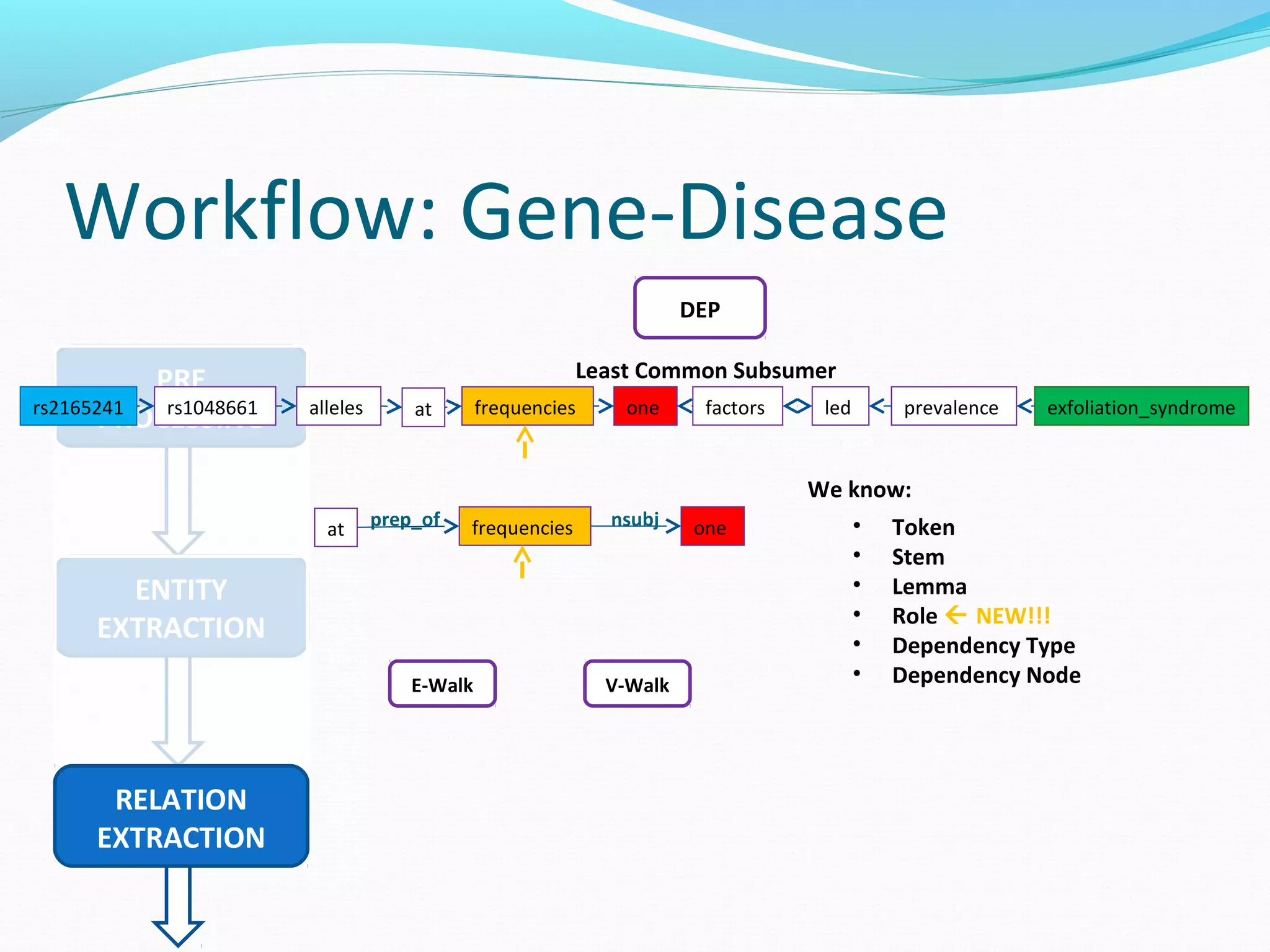 Workflow: Gene-Disease
PRE
PROCESSING
ENTITY
EXTRACTION
RELATION
EXTRACTION
DEP
frequenciesallelesrs1048661rs2165241 one factors led prevalence exfoliation_syndromeat
Least Common Subsumer
We know:
• Token
• Stem
• Lemma
• Role  NEW!!!
• Dependency Type
• Dependency Node
frequencies oneat prep_of nsubj
V-WalkE-Walk
 