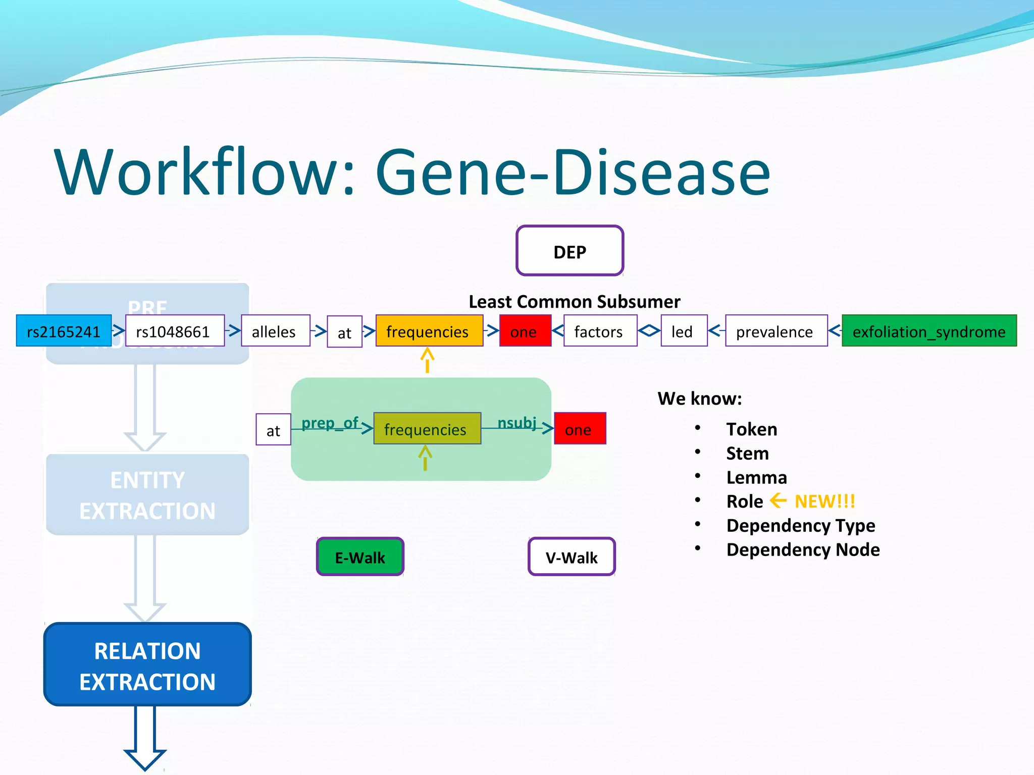 Workflow: Gene-Disease
PRE
PROCESSING
ENTITY
EXTRACTION
RELATION
EXTRACTION
DEP
frequenciesallelesrs1048661rs2165241 one factors led prevalence exfoliation_syndromeat
Least Common Subsumer
We know:
• Token
• Stem
• Lemma
• Role  NEW!!!
• Dependency Type
• Dependency Node
frequencies oneat prep_of nsubj
V-WalkE-Walk
 