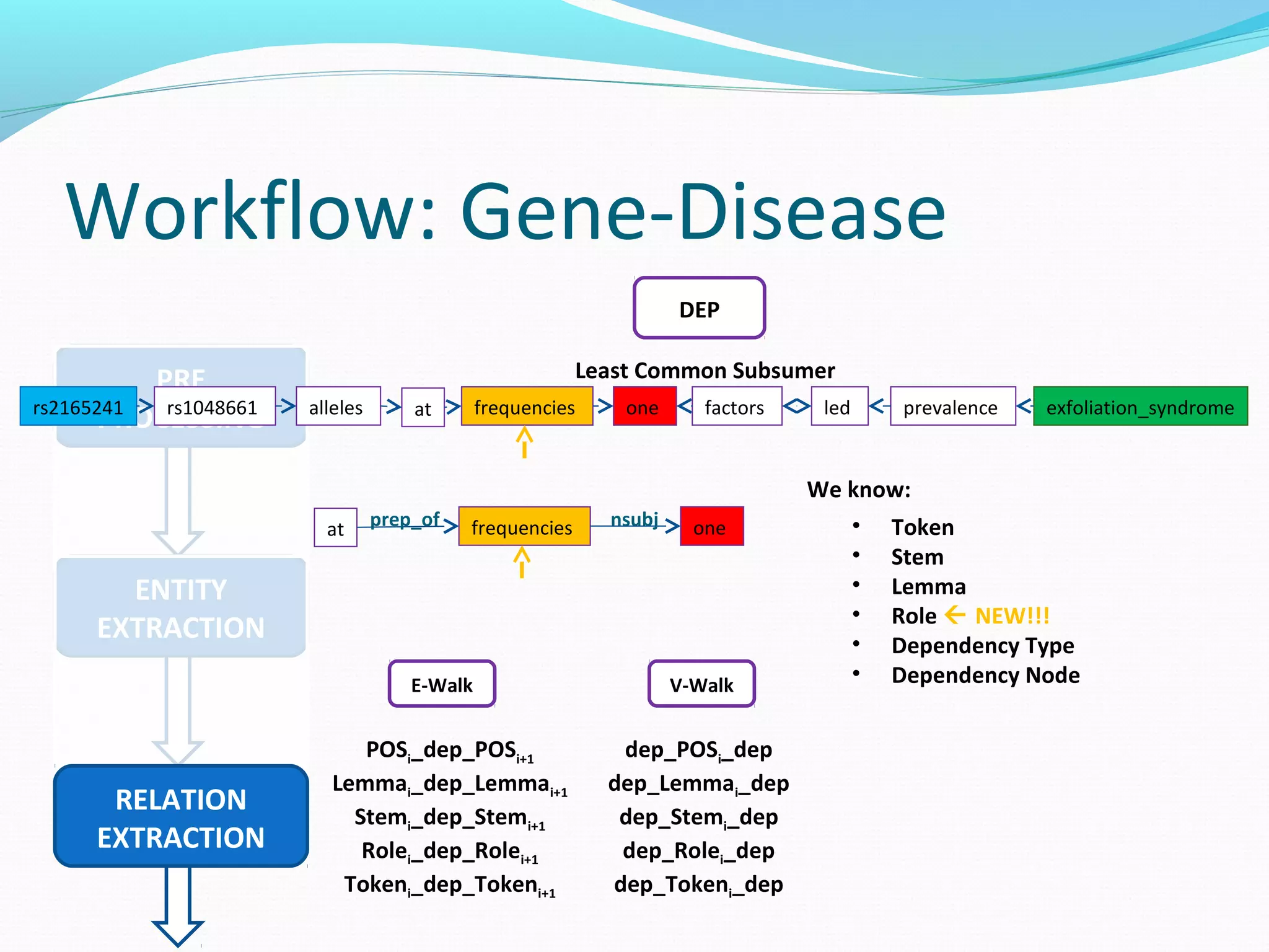 Workflow: Gene-Disease
PRE
PROCESSING
ENTITY
EXTRACTION
RELATION
EXTRACTION
DEP
frequenciesallelesrs1048661rs2165241 one factors led prevalence exfoliation_syndromeat
Least Common Subsumer
We know:
• Token
• Stem
• Lemma
• Role  NEW!!!
• Dependency Type
• Dependency Node
frequencies oneat prep_of nsubj
V-WalkE-Walk
POSi_dep_POSi+1
Lemmai_dep_Lemmai+1
Stemi_dep_Stemi+1
Rolei_dep_Rolei+1
Tokeni_dep_Tokeni+1
dep_POSi_dep
dep_Lemmai_dep
dep_Stemi_dep
dep_Rolei_dep
dep_Tokeni_dep
 
