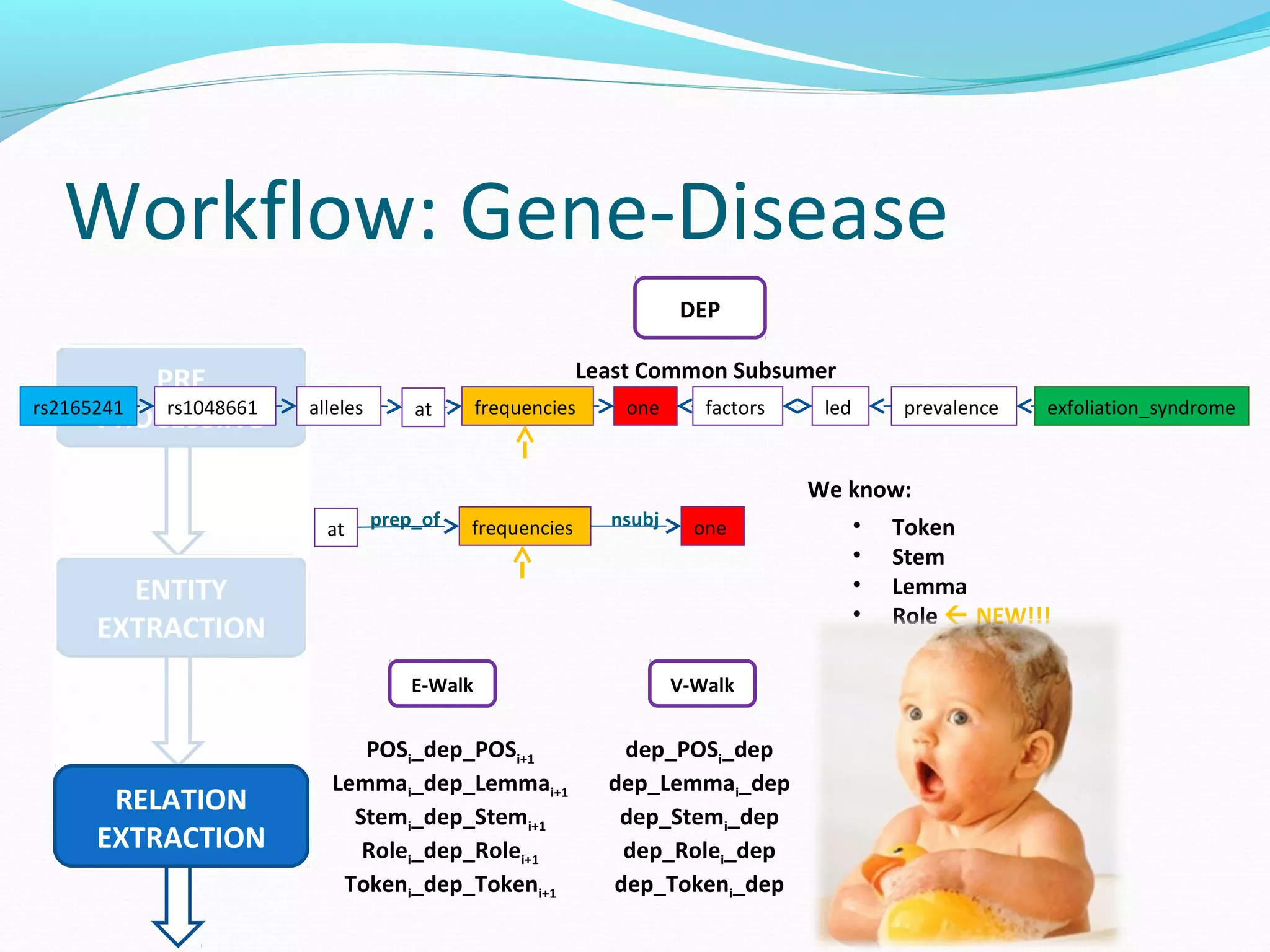 Workflow: Gene-Disease
PRE
PROCESSING
ENTITY
EXTRACTION
RELATION
EXTRACTION
DEP
frequenciesallelesrs1048661rs2165241 one factors led prevalence exfoliation_syndromeat
Least Common Subsumer
We know:
• Token
• Stem
• Lemma
• Role  NEW!!!
• Dependency Type
• Dependency Node
frequencies oneat prep_of nsubj
V-WalkE-Walk
POSi_dep_POSi+1
Lemmai_dep_Lemmai+1
Stemi_dep_Stemi+1
Rolei_dep_Rolei+1
Tokeni_dep_Tokeni+1
dep_POSi_dep
dep_Lemmai_dep
dep_Stemi_dep
dep_Rolei_dep
dep_Tokeni_dep
 