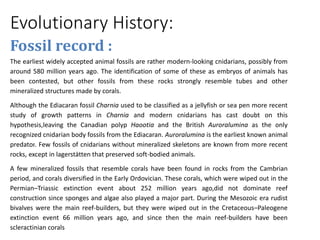 Evolutionary History:
Fossil record :
The earliest widely accepted animal fossils are rather modern-looking cnidarians, possibly from
around 580 million years ago. The identification of some of these as embryos of animals has
been contested, but other fossils from these rocks strongly resemble tubes and other
mineralized structures made by corals.
Although the Ediacaran fossil Charnia used to be classified as a jellyfish or sea pen more recent
study of growth patterns in Charnia and modern cnidarians has cast doubt on this
hypothesis,leaving the Canadian polyp Haootia and the British Auroralumina as the only
recognized cnidarian body fossils from the Ediacaran. Auroralumina is the earliest known animal
predator. Few fossils of cnidarians without mineralized skeletons are known from more recent
rocks, except in lagerstätten that preserved soft-bodied animals.
A few mineralized fossils that resemble corals have been found in rocks from the Cambrian
period, and corals diversified in the Early Ordovician. These corals, which were wiped out in the
Permian–Triassic extinction event about 252 million years ago,did not dominate reef
construction since sponges and algae also played a major part. During the Mesozoic era rudist
bivalves were the main reef-builders, but they were wiped out in the Cretaceous–Paleogene
extinction event 66 million years ago, and since then the main reef-builders have been
scleractinian corals
 