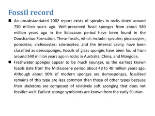 Fossil record
 An unsubstantiated 2002 report exists of spicules in rocks dated around
750 million years ago. Well-preserved fossil sponges from about 580
million years ago in the Ediacaran period have been found in the
Doushantuo Formation. These fossils, which include: spicules; pinacocytes;
porocytes; archeocytes; sclerocytes; and the internal cavity, have been
classified as demosponges. Fossils of glass sponges have been found from
around 540 million years ago in rocks in Australia, China, and Mongolia.
 Freshwater sponges appear to be much younger, as the earliest known
fossils date from the Mid-Eocene period about 48 to 40 million years ago.
Although about 90% of modern sponges are demosponges, fossilized
remains of this type are less common than those of other types because
their skeletons are composed of relatively soft sponging that does not
fossilize well. Earliest sponge symbionts are known from the early Silurian.
 