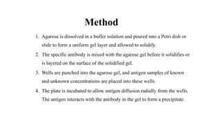 Method
1. Agarose is dissolved in a buffer solution and poured into a Petri dish or
slide to form a uniform gel layer and allowed to solidify.
2. The specific antibody is mixed with the agarose gel before it solidifies or
is layered on the surface of the solidified gel.
3. Wells are punched into the agarose gel, and antigen samples of known
and unknown concentrations are placed into these wells.
4. The plate is incubated to allow antigen diffusion radially from the wells.
The antigen interacts with the antibody in the gel to form a precipitate.
 