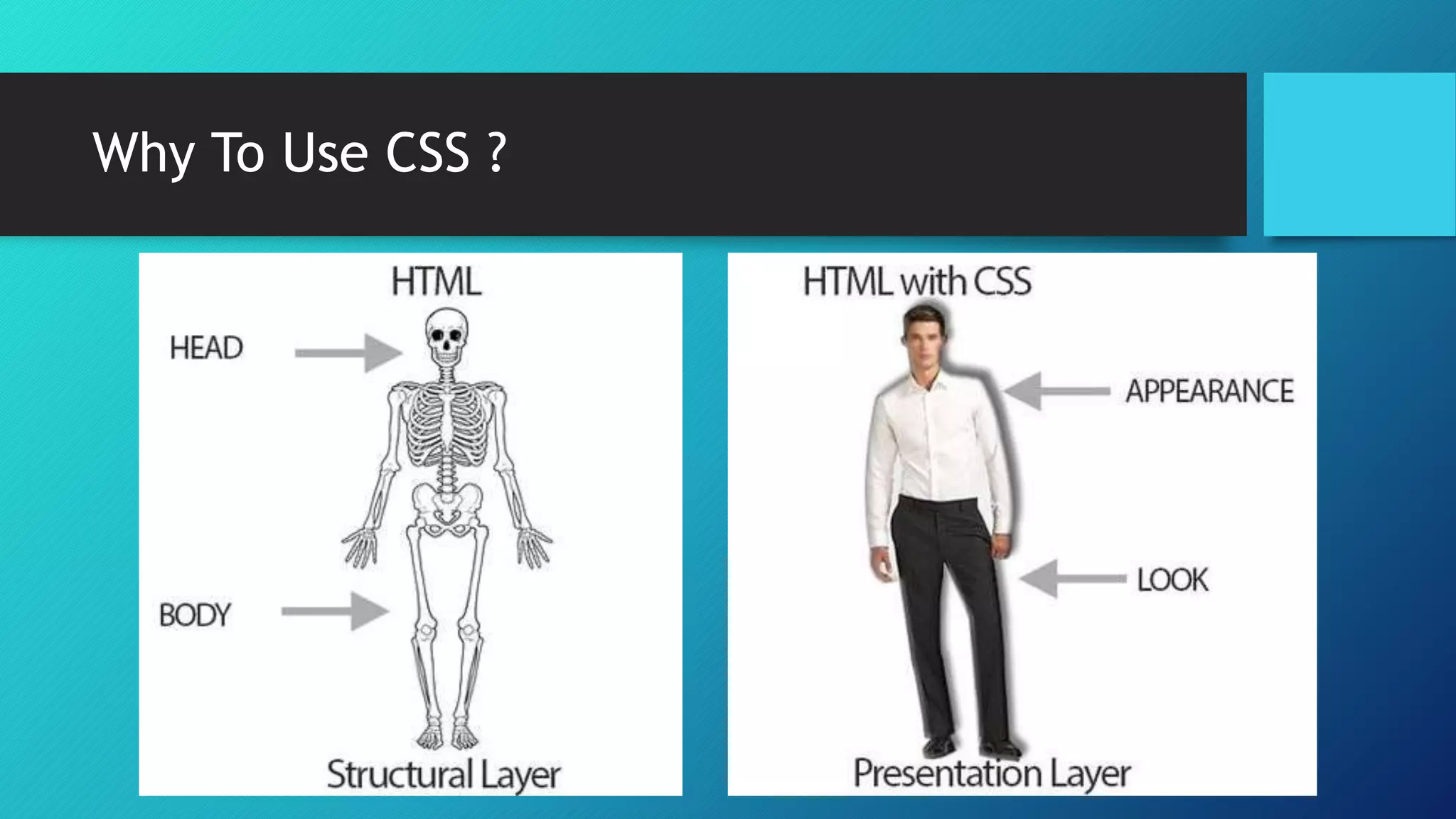CSS Positioning and Features of CSS3 | PPTX