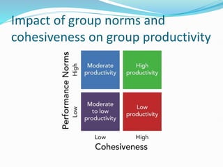 Impact of group norms and
cohesiveness on group productivity
 