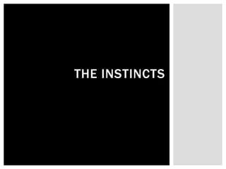 THE INSTINCTS 
 