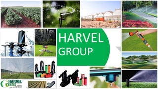 HARVEL
GROUP
 