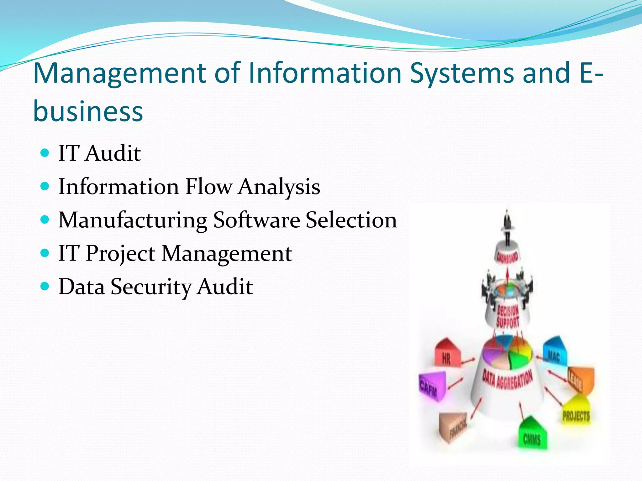 Management of Information Systems and E-
business
 IT Audit
 Information Flow Analysis
 Manufacturing Software Selection
 IT Project Management
 Data Security Audit
 