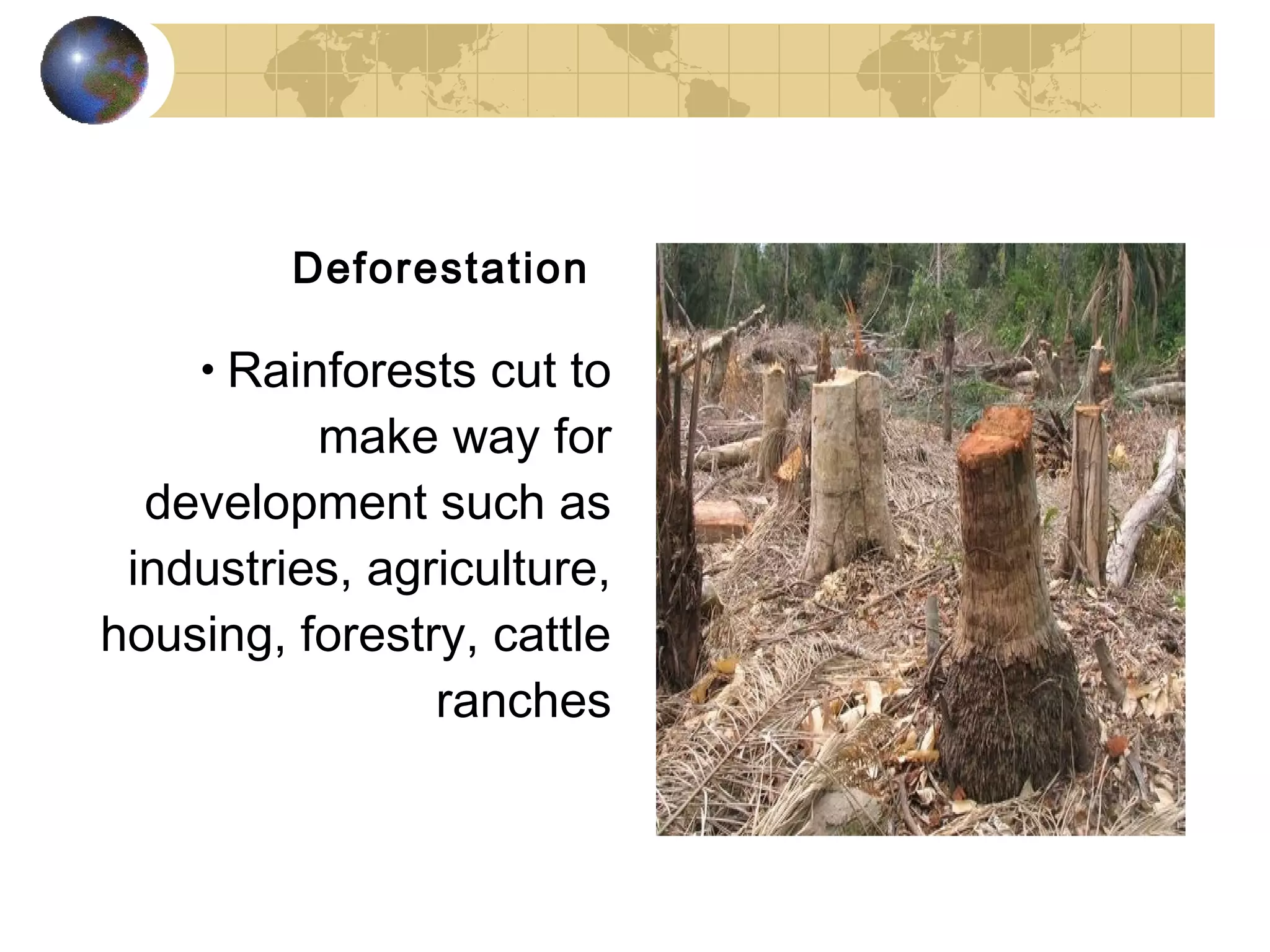 Deforestation

    • Rainforests cut to
          make way for
  development such as
 industries, agriculture,
housing, forestry, cattle
                ranches
 