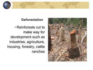 Deforestation

    • Rainforests cut to
          make way for
  development such as
 industries, agriculture,
housing, forestry, cattle
                ranches
 