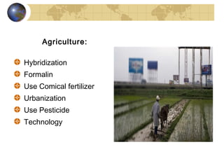 Agriculture:

Hybridization
Formalin
Use Comical fertilizer
Urbanization
Use Pesticide
Technology
 