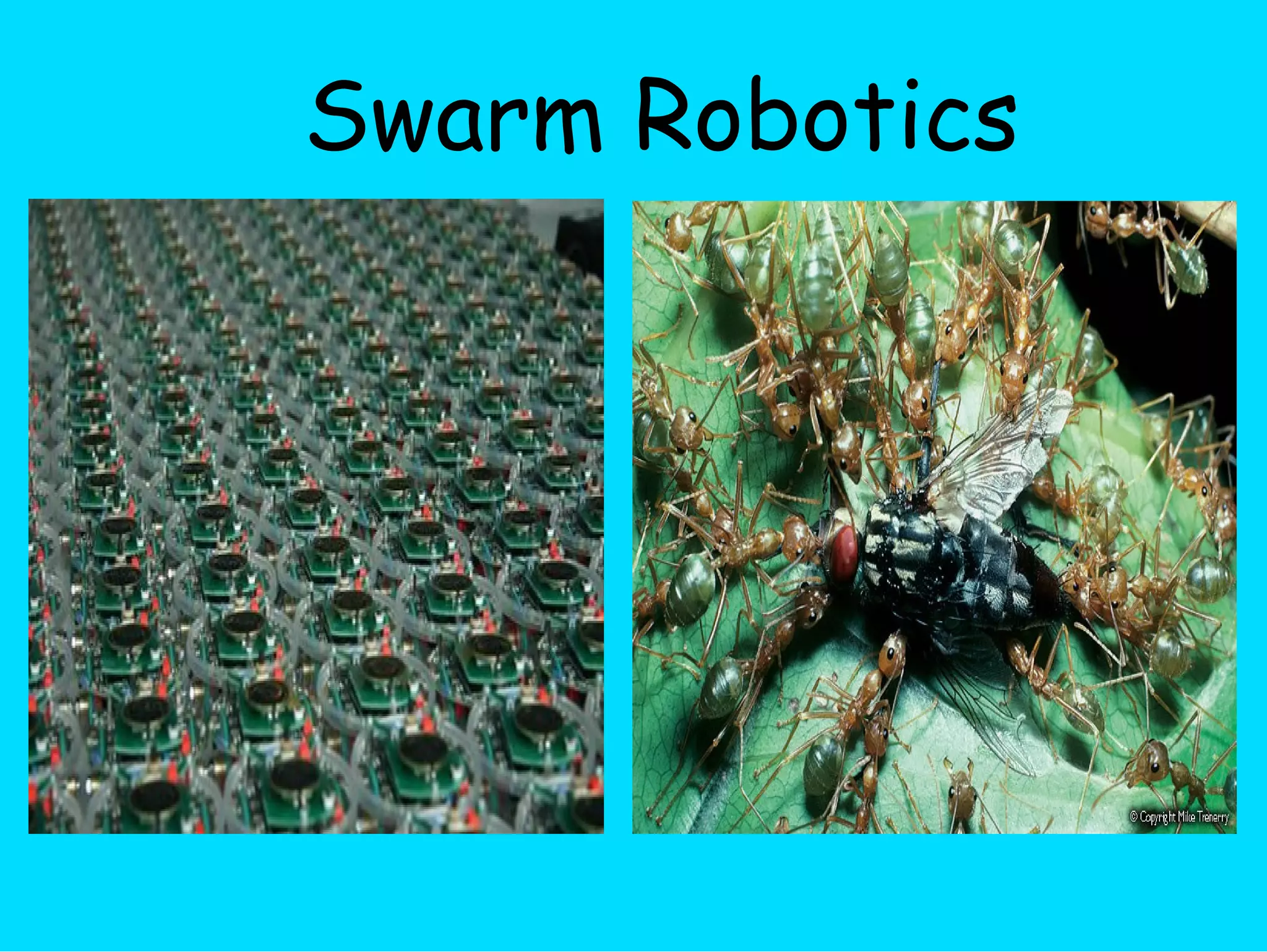 Swarm Robotics 