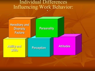 . Individual Differences Influencing Work Behavior: Ability and Skills Perception Attitudes Hereditary and Diversity Factors Personality 