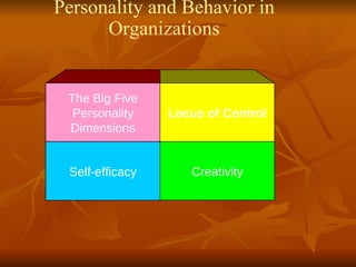 Personality and Behavior in Organizations The Big Five Personality Dimensions Locus of Control Self-efficacy Creativity 
