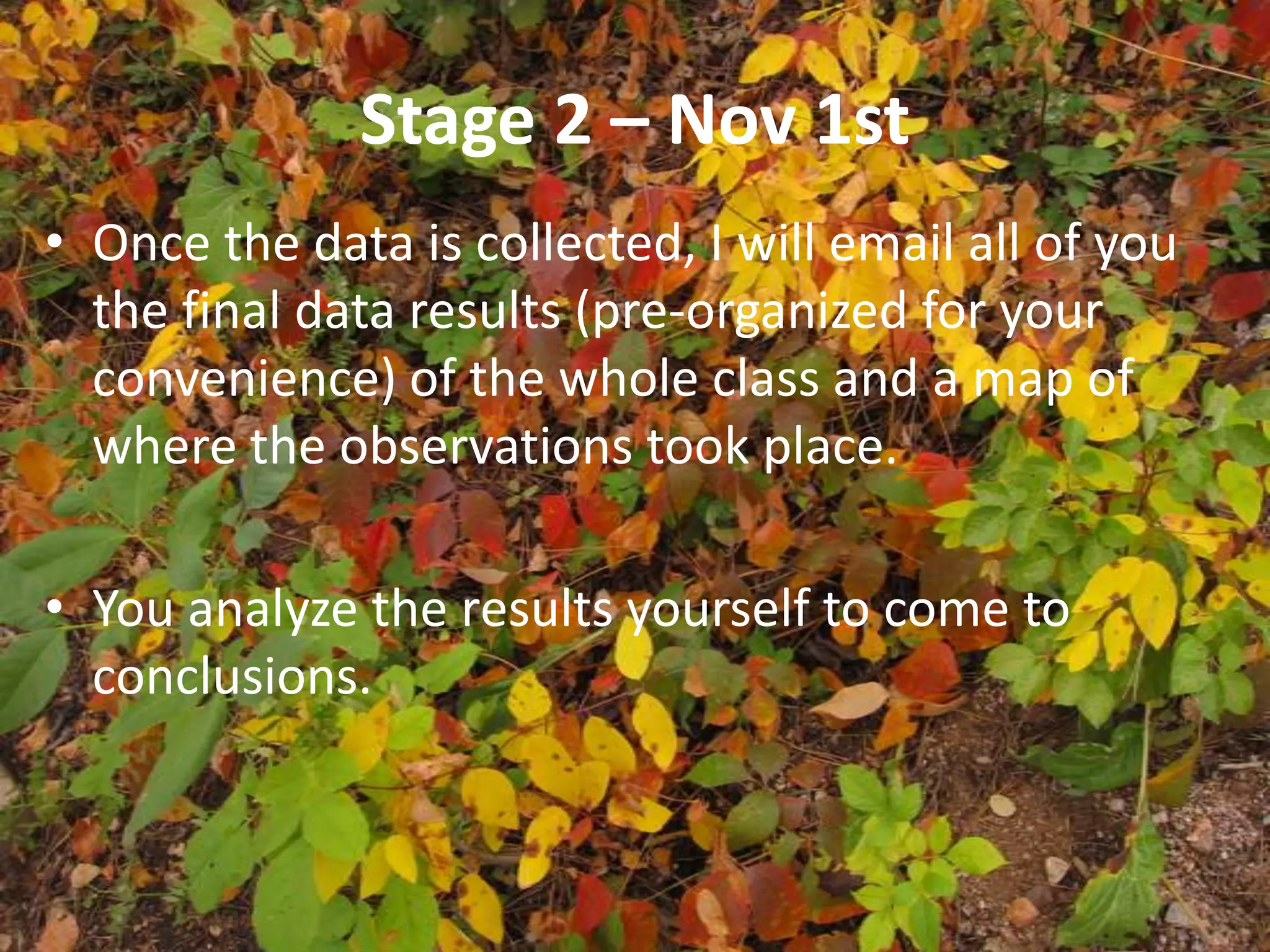 Stage 2 – Nov 1stOnce the data is collected, I will email all of you the final data results (pre-organized for your convenience) of the whole class and a map of where the observations took place.You analyze the results yourself to come to conclusions.